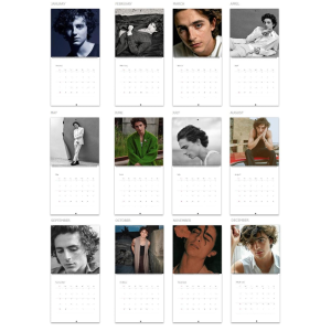 Timothée Chalamet – Calendar 2025