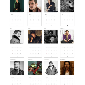 Pedro Pascal  – Calendar 2025