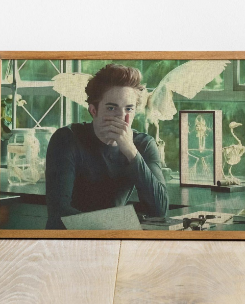 Edward Smell Stinky Face – Twilight Poster