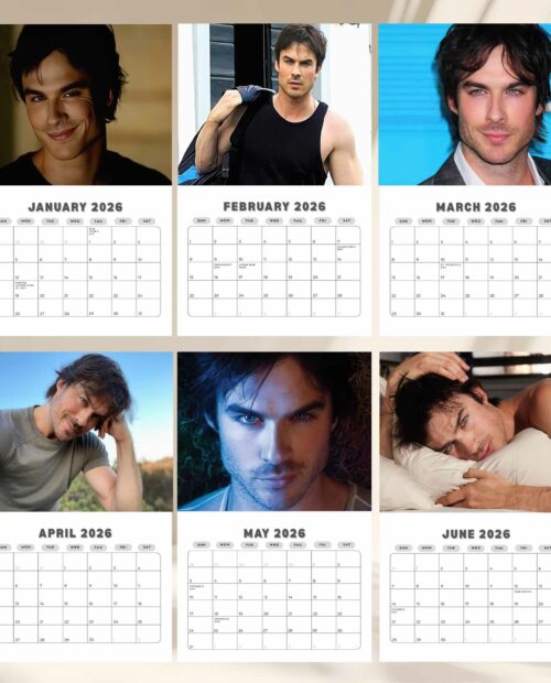 TVD Damon Salvatore 2026 Wall Calendar