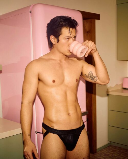 Heated Rivalry Hudson Willams Posters